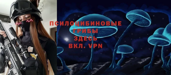 гидра Богородск
