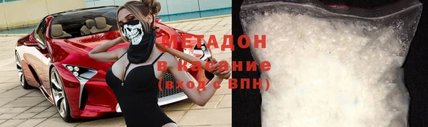 прущие грибы Богородицк