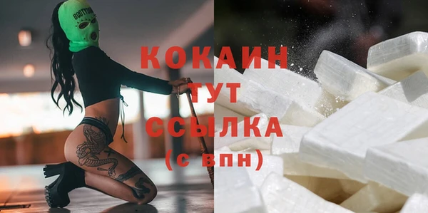 прущие грибы Богородицк