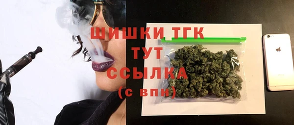 индика Нефтегорск