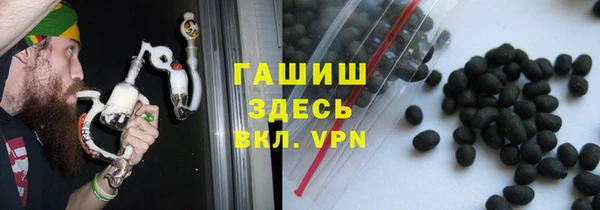 гидра Богородск
