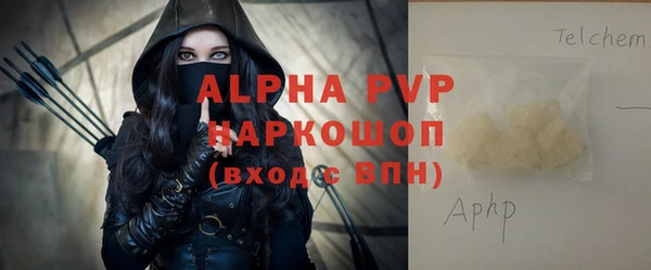 прущие грибы Богородицк