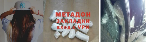 прущие грибы Богородицк