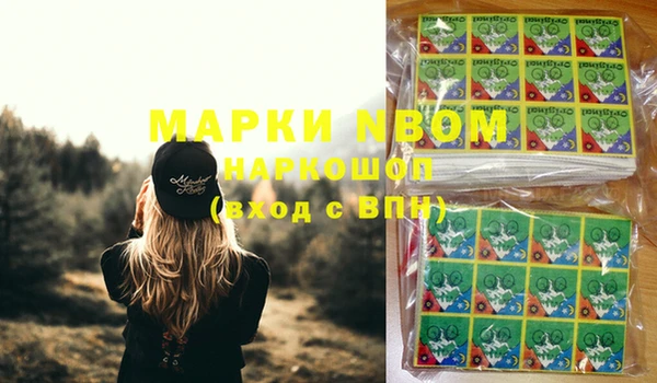 прущие грибы Богородицк