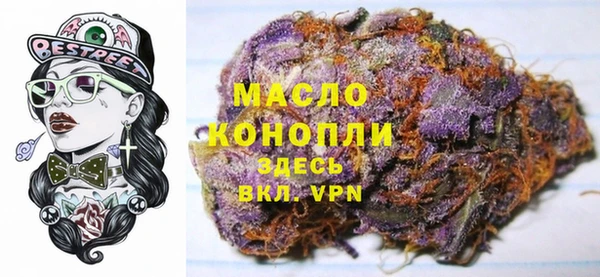гидра Богородск