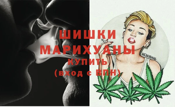 прущие грибы Богородицк