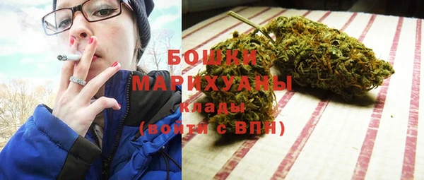 прущие грибы Богородицк