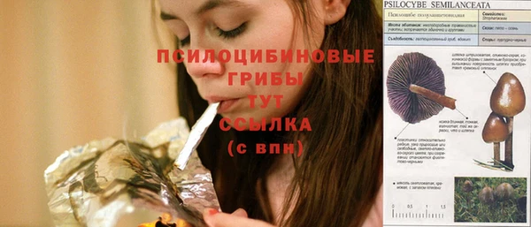 гидра Богородск