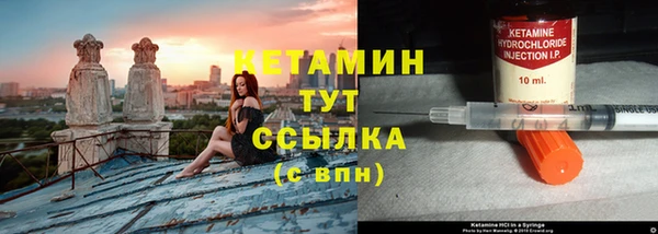 прущие грибы Богородицк