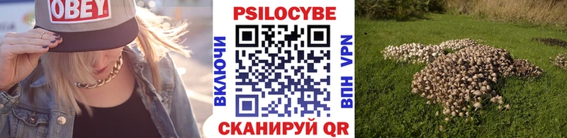 что такое наркотик  omg ссылки  Галлюциногенные грибы Psilocybine cubensis  Калининград 